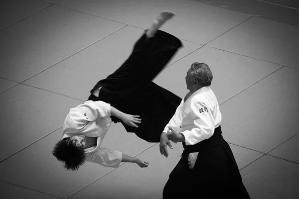 51.ª Demonstração de Aikido de Todo o Japão, 2013.