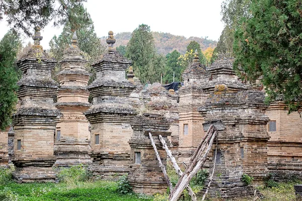 Floresta de Pagodes, o cemitério dos monges de Shaolin (foto de 2024).