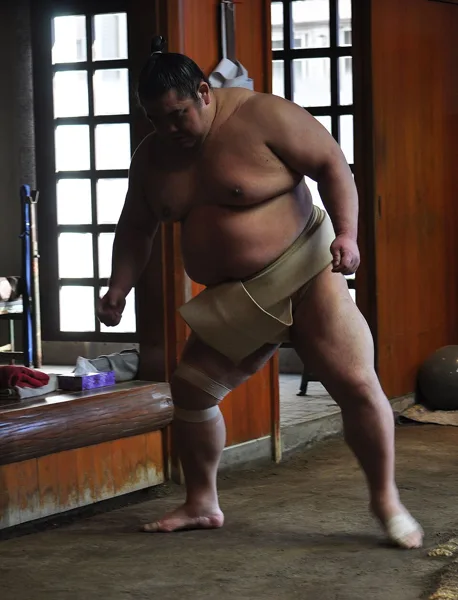 Mawashi