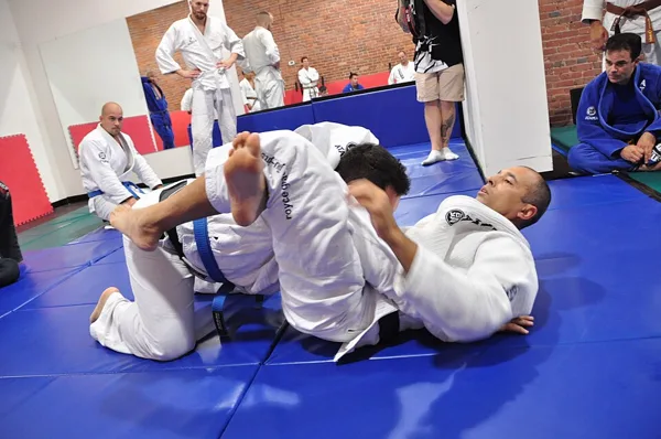 BJJ technique books