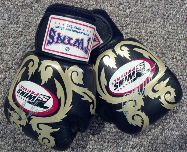 Muay Thai gloves