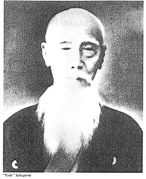 Kanga Sakukawa